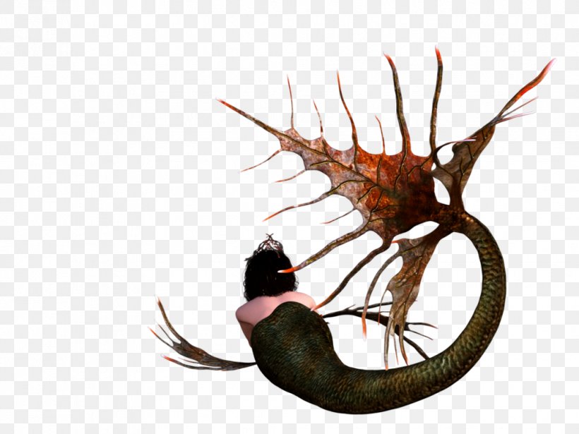 Tail Invertebrate Legendary Creature Fish, PNG, 1032x774px, Tail, Fish, Invertebrate, Legendary Creature, Mythical Creature Download Free