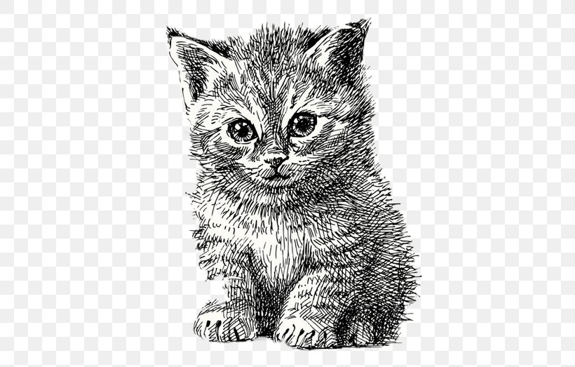 Cat Kitten Puppy Line Art, PNG, 507x523px, Cat, Art, Black And White, Carnivoran, Cat Like Mammal Download Free
