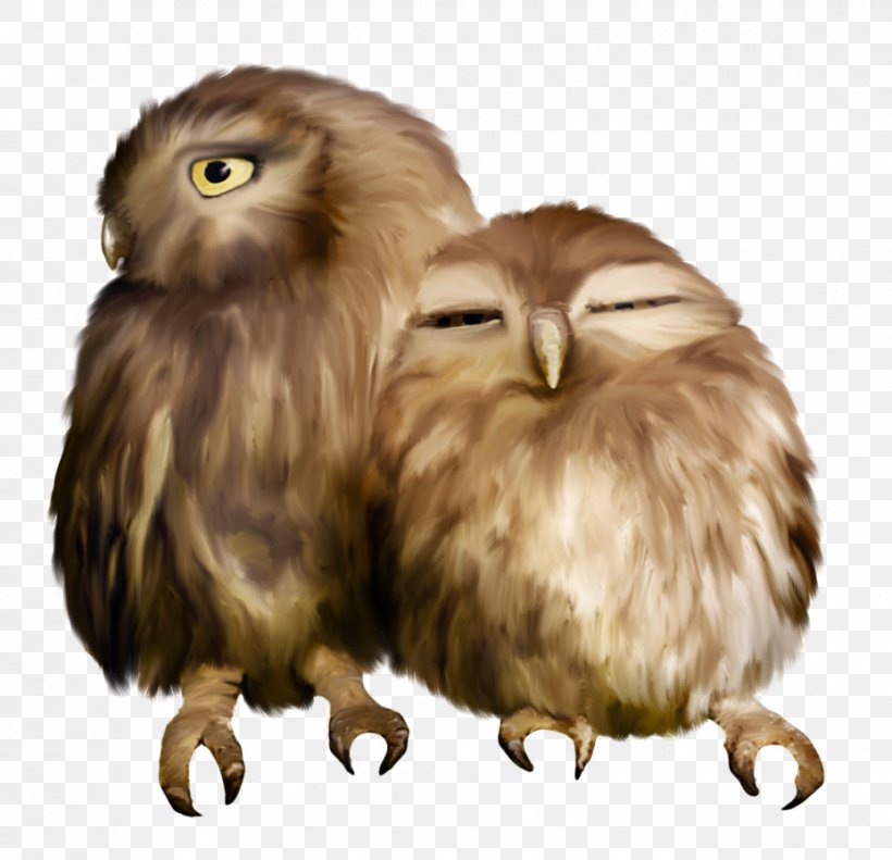 Owl Nuvola Sovunya YouTube Clip Art, PNG, 928x896px, Owl, Animal, Beak, Bird, Bird Of Prey Download Free