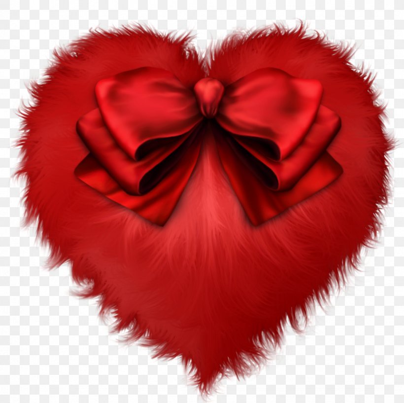 YouTube LLERRAH Wish Christmas Value Of Life, PNG, 1073x1070px, Youtube, Christmas, Every Day, Fur, Heart Download Free