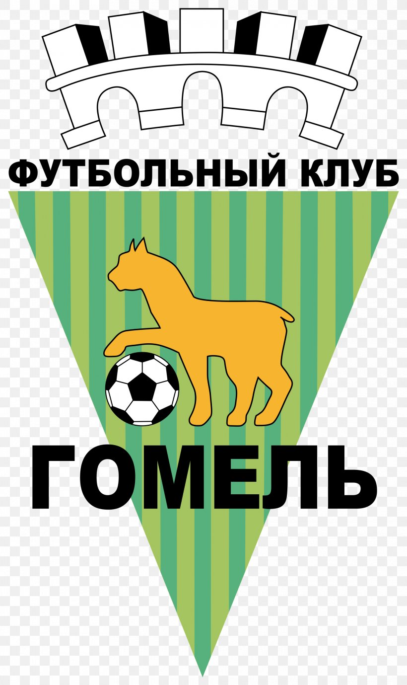 Belarusian Premier League FC Gomel FC Darida Minsk Raion FC Minsk FC Neman Grodno, PNG, 1920x3229px, Belarusian Premier League, Area, Belarus, Brand, Escutcheon Download Free