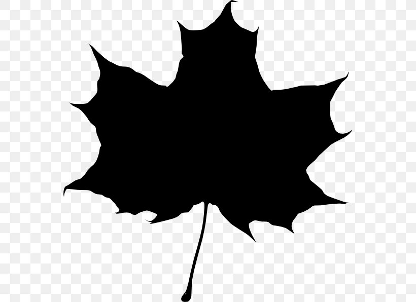 Drawing Silhouette Leaf Clip Art, PNG, 570x596px, Drawing, Art, Black, Black And White, Branch Download Free