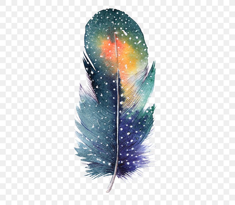 Feather Bird Drawing Color Painting, PNG, 380x716px, Feather, Bird, Color, Drawing, Organism Download Free