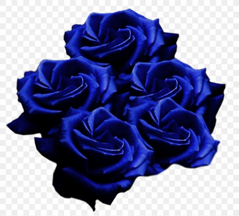 Garden Roses Blue Rose Cut Flowers, PNG, 900x814px, Garden Roses, Beach Rose, Blue, Blue Flower, Blue Rose Download Free