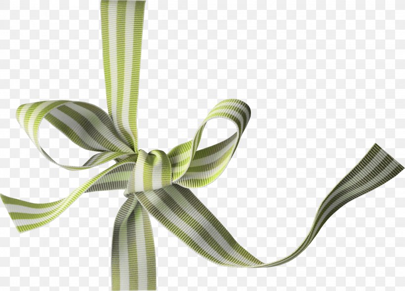 Ribbon Clip Art, PNG, 3028x2177px, Ribbon, Flower, Gift, Gratis, Plant Download Free