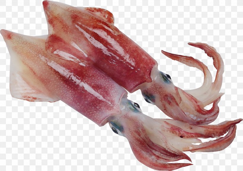 Squid Animal Fat Seafood Food Octopus, PNG, 2182x1542px, Watercolor, Animal Fat, Cuisine, Food, Lamb And Mutton Download Free