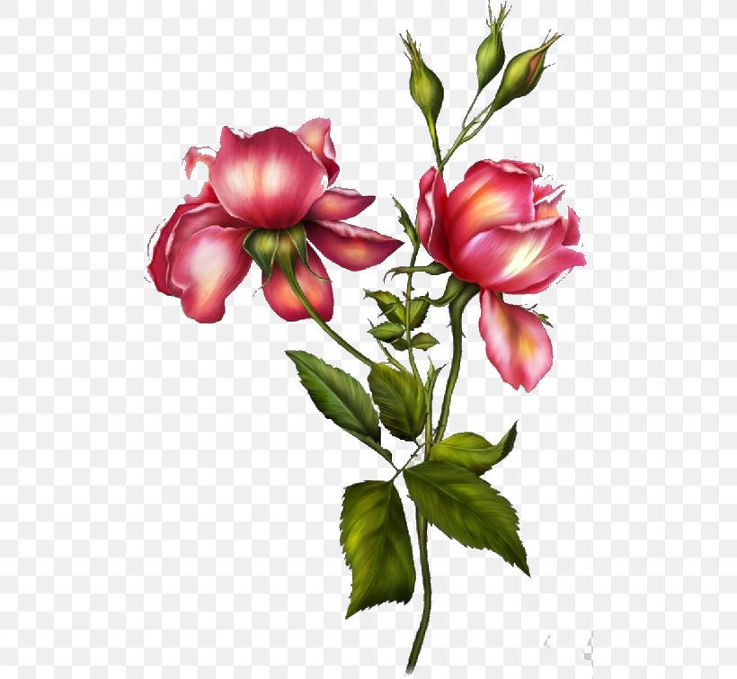 Garden Roses Peony Flower Sticker Clip Art, PNG, 500x755px, Garden Roses, Blog, Bud, Cut Flowers, Floral Design Download Free