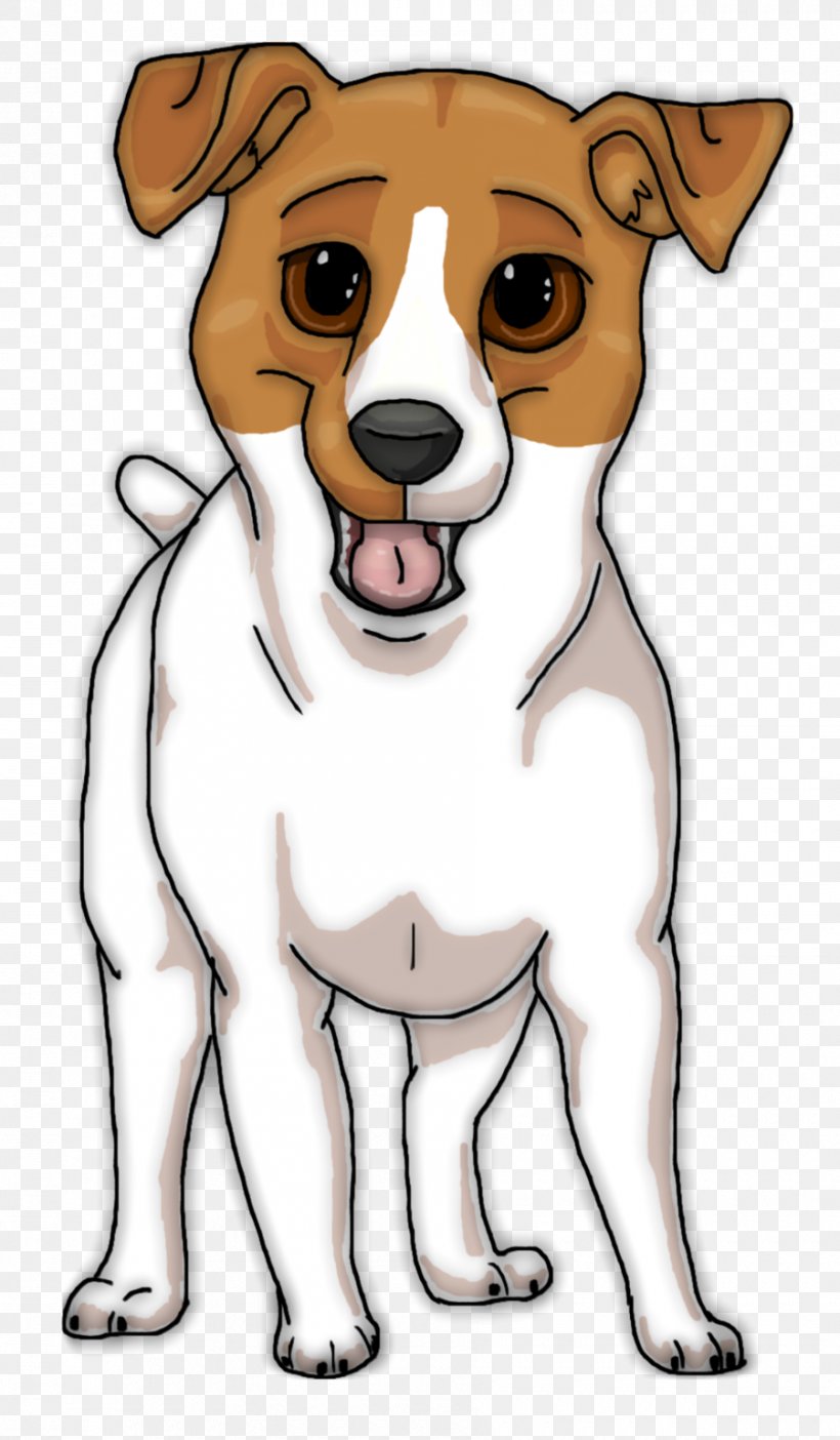 Jack Russell Terrier Puppy Rat Terrier Shih Tzu Drawing, PNG, 900x1541px, Jack Russell Terrier, Breed, Carnivoran, Companion Dog, Dog Download Free