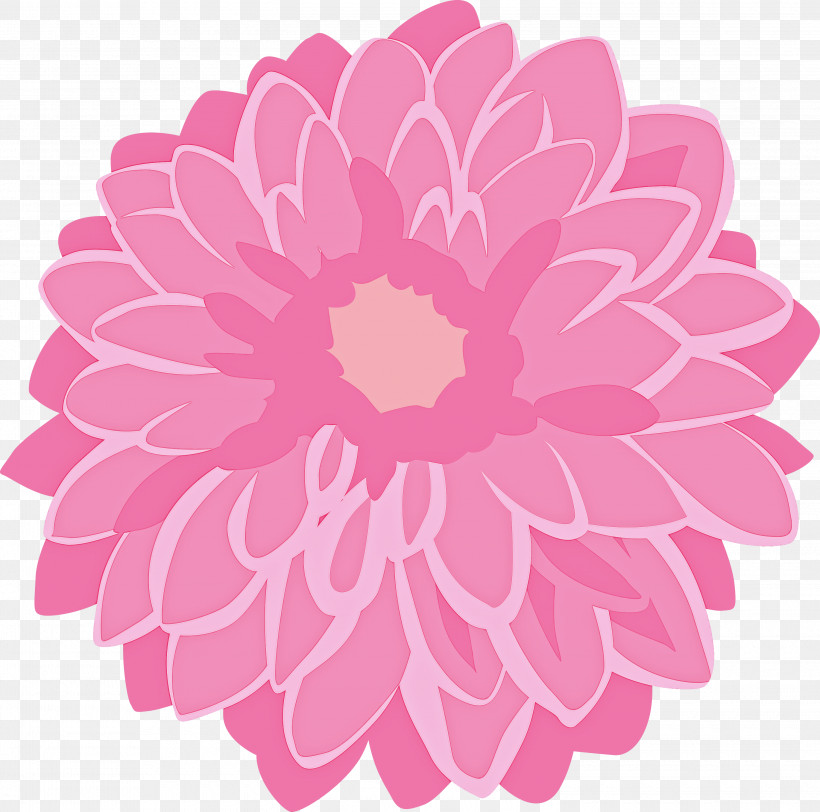 Pink Petal Flower Plant Dahlia, PNG, 3000x2974px, Pink, Aster, Cut Flowers, Dahlia, Daisy Family Download Free