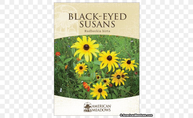 Sunflower Seed Black-eyed Susan Sunflowers Wildflower, PNG, 500x500px, Sunflower Seed, Blackeyed Susan, Building, Daisy Family, Decal Download Free