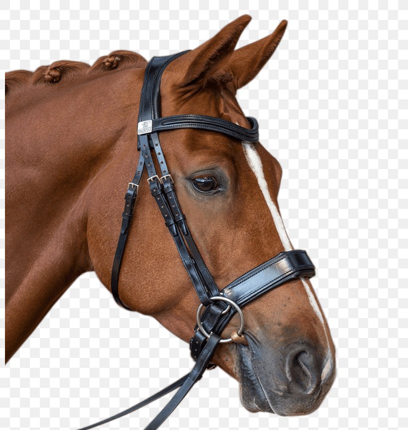 Horse Bridle Halter Equestrian Bit, PNG, 800x865px, Horse, Bit, Bitless Bridle, Bridle, English Riding Download Free