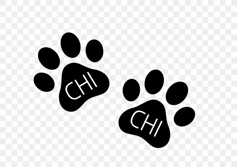 Paw Dog Cat, PNG, 4961x3508px, Paw, Animal, Animal Track, Black, Black And White Download Free
