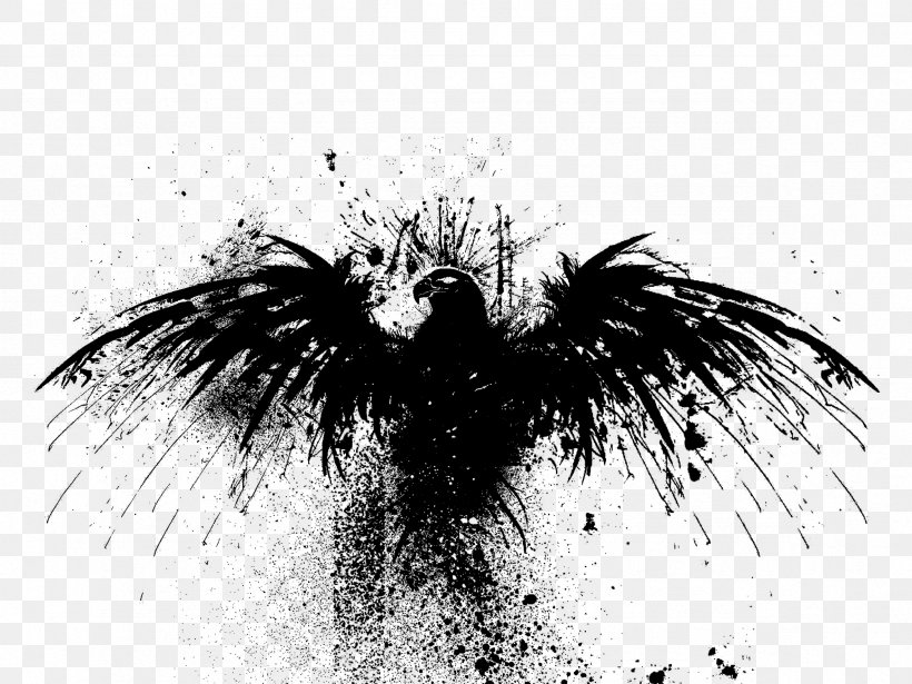 Black And White Bird Wallpaper, PNG, 2362x1772px, 4k Resolution, Black And White, Abstract Art, Bird, Black Download Free