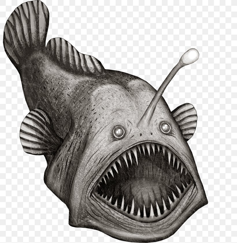 Clip Art Anglerfish Deep Sea Fish Illustration, PNG, 800x842px, Anglerfish, Black Seadevil, Bonyfish, Common Carp, Deep Sea Download Free