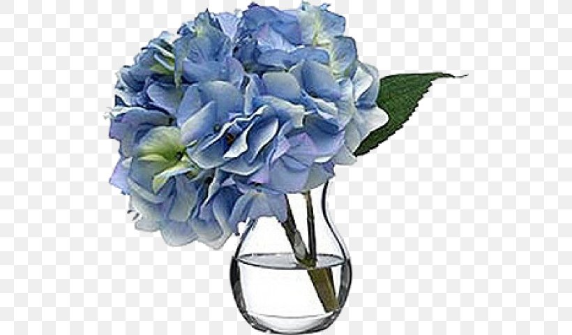 Garden Roses Blue French Hydrangea Cut Flowers, PNG, 525x480px, Garden Roses, Artificial Flower, Blue, Blue Rose, Cobalt Blue Download Free
