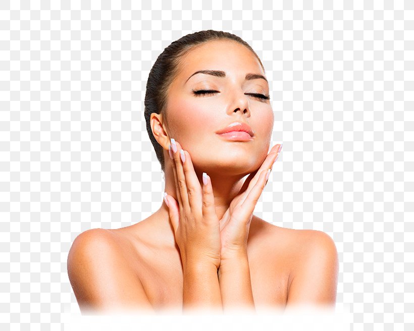 Skin Care Facial Exfoliation Plush Aesthetics & Skincare Studio, PNG, 566x656px, Skin Care, Antiaging Cream, Beauty, Cheek, Chin Download Free