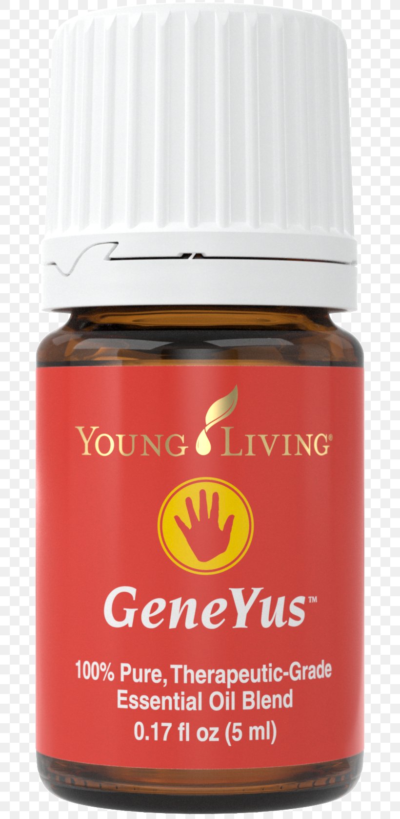 Curry Plant Young Living Essential Oil Hinoki Cypress, PNG, 690x1676px, Curry Plant, Cananga Odorata, Chamaecyparis Formosensis, Essential Oil, Everlasting Flowers Download Free