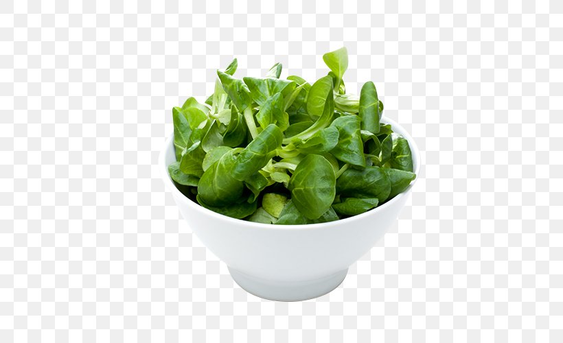 Romaine Lettuce Spring Greens Spinach Herb Leaf Vegetable, PNG, 500x500px, Romaine Lettuce, Flowerpot, Herb, Leaf Vegetable, Lettuce Download Free