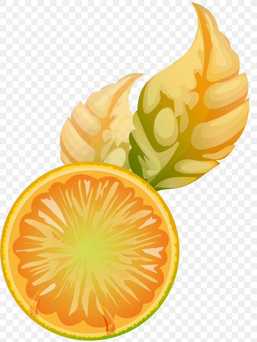 Juice Lemon Euclidean Vector, PNG, 1221x1627px, Juice, Art, Food, Fruit, Garnish Download Free