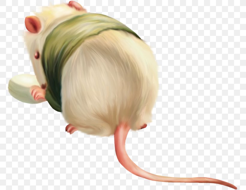 Computer Mouse Rodent Laboratory Rat House Mouse, PNG, 768x635px, Computer Mouse, Animal, Child, Hair, Hair Coloring Download Free