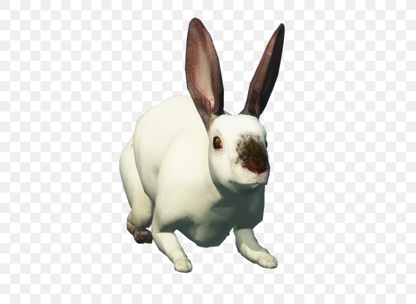 Hare Domestic Rabbit Easter Bunny Pet, PNG, 800x600px, Hare, Animal, Animal Figure, Domestic Rabbit, Easter Download Free