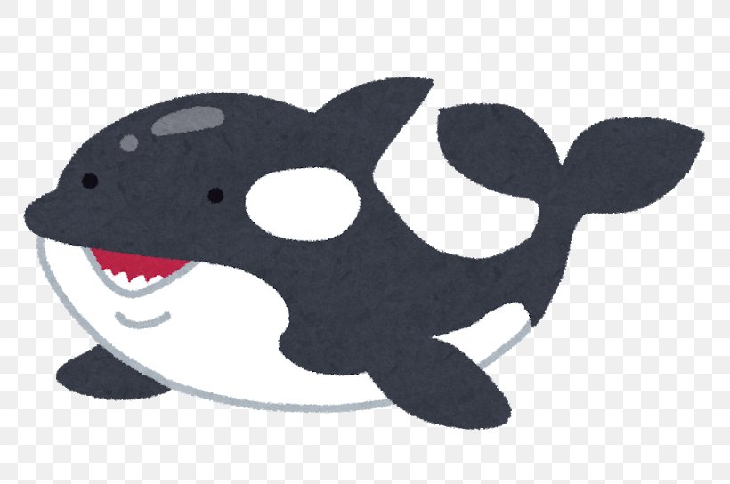 Killer Whale Kumiyama Town Mimaki Elementary School Dolphin Great White Shark Cetaceans, PNG, 800x544px, Killer Whale, Algorithmic Trading, Animal, Carnivoran, Cetaceans Download Free