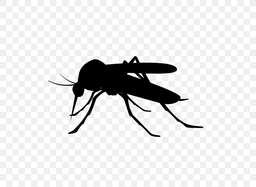 Mosquito Clip Art, PNG, 600x601px, Mosquito, Arthropod, Black And White, Fly, Insect Download Free