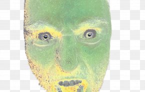 Brtt - Nose Portrait Face Summer Close-up PNG