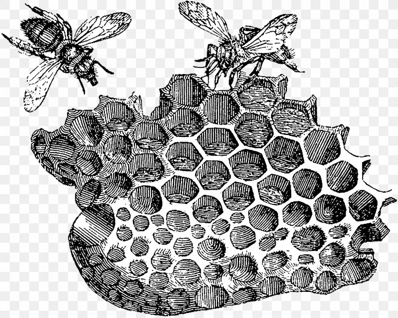 Beehive Honeycomb Honey Bee Art, PNG, 1200x959px, Bee, Antique, Art, Beehive, Beekeeping Download Free