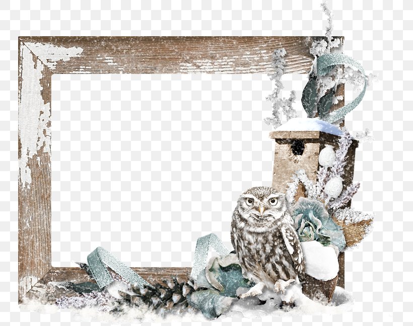 Owl Picture Frames, PNG, 749x648px, Owl, Bird, Bird Of Prey, Fauna, Picture Frame Download Free