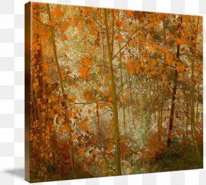 Painting - Painting Leaf Rectangle PNG