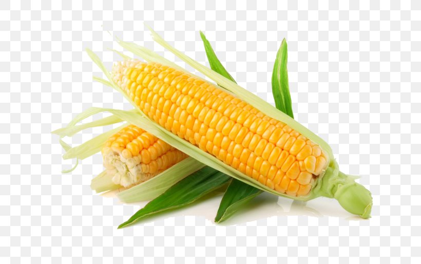 Popcorn Cartoon, PNG, 700x514px, Sweet Corn, Cereal, Corn, Corn Kernels, Corn On The Cob Download Free