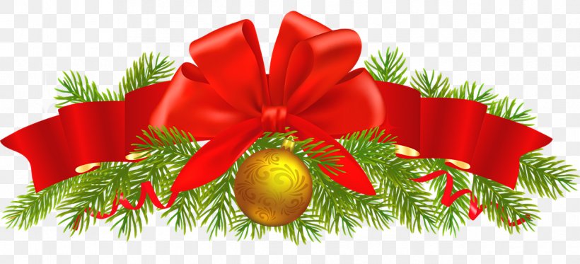Christmas Ornament Greeting & Note Cards Evergreen Marine Corp., PNG, 1270x578px, Christmas Ornament, Christmas, Christmas Decoration, Conifer, Evergreen Download Free