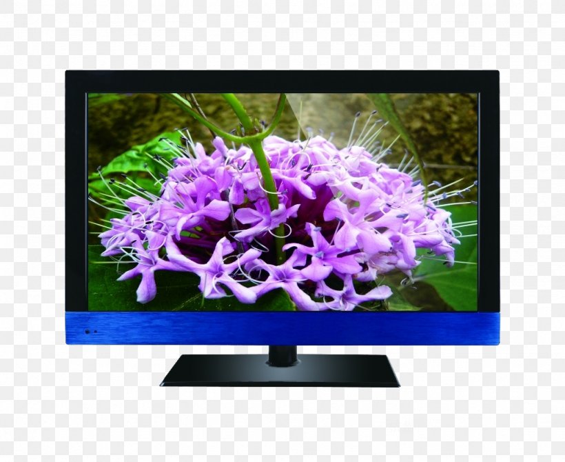 Light Liquid-crystal Display Television, PNG, 1024x837px, Light, Brand, Crystal, Digital Data, Floral Design Download Free
