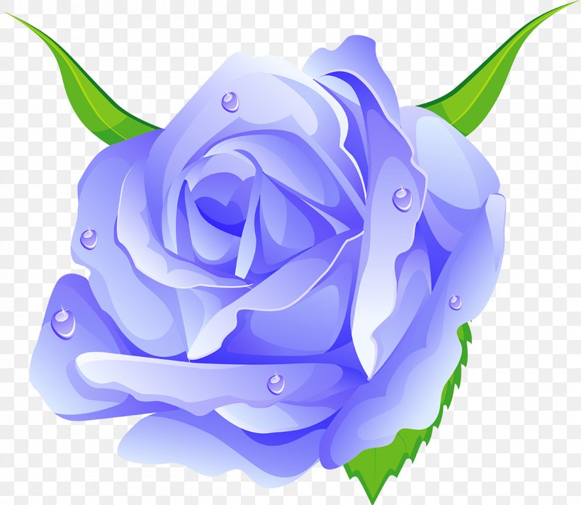 Blue Rose Centifolia Roses Garden Roses Beach Rose Rosaceae, PNG, 1200x1044px, Blue Rose, Beach Rose, Blue, Centifolia Roses, Cut Flowers Download Free