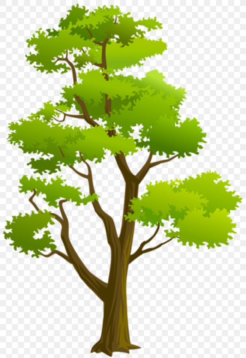 Clip Art Tree Of 40 Fruit Image Openclipart, PNG, 1217x1771px, 3d Computer Graphics, Tree Of 40 Fruit, Branch, Drawing, Flames Download Free