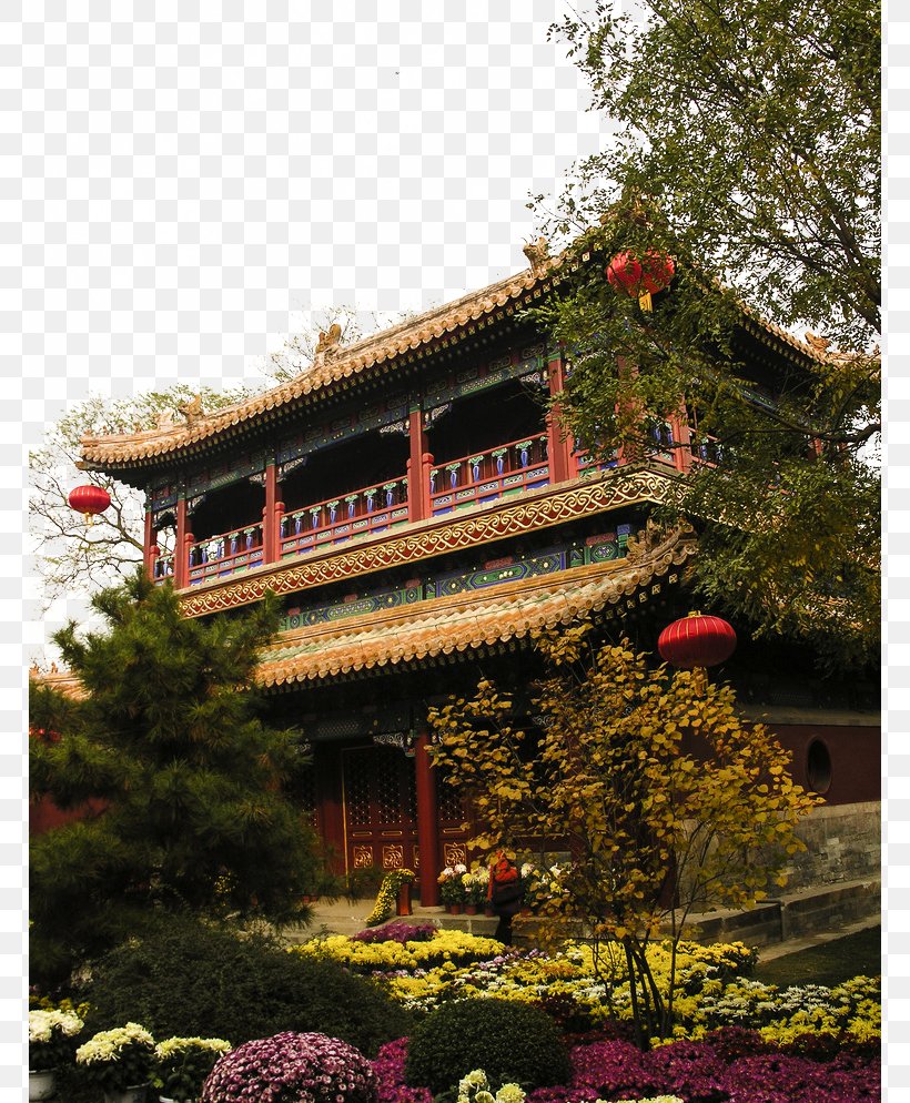 Diaoyutai Ginkgo Avenue Autumn Leaf Color Season Weather, PNG, 768x994px, Autumn, Autumn Leaf Color, Beijing, Binary Large Object, Building Download Free