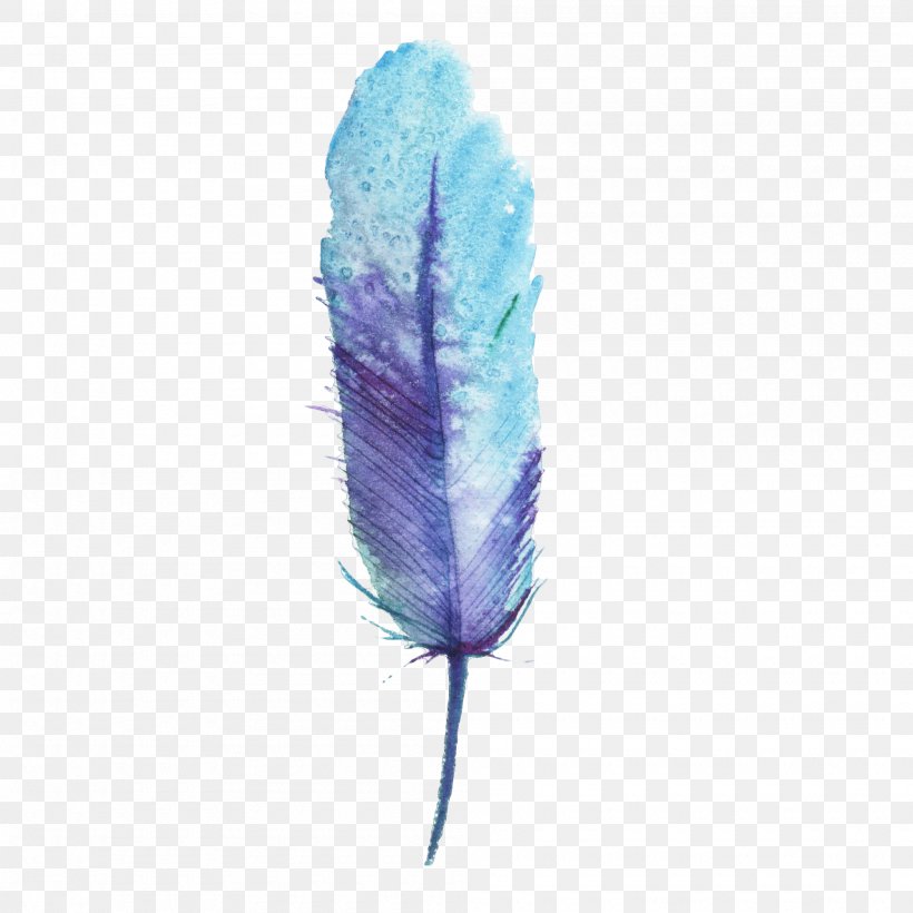 Feather Bird Blue, PNG, 2000x2000px, Feather, Bird, Blue, Color, Hair Download Free