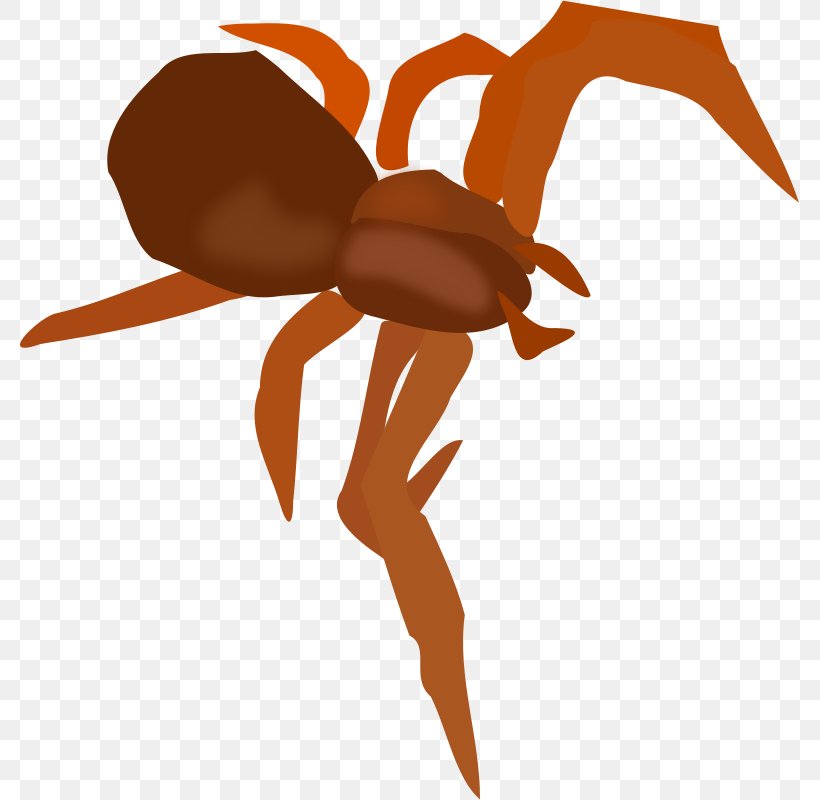 Spider Clip Art, PNG, 779x800px, Spider, Art, Arthropod, Drawing, Free Content Download Free