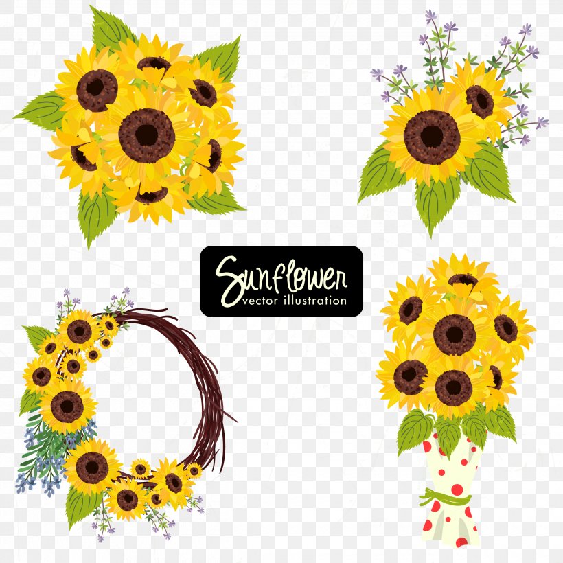 Common Sunflower Sunflower Seed Icon, PNG, 2480x2480px, Common Sunflower, Cut Flowers, Daisy Family, Drawing, Flora Download Free