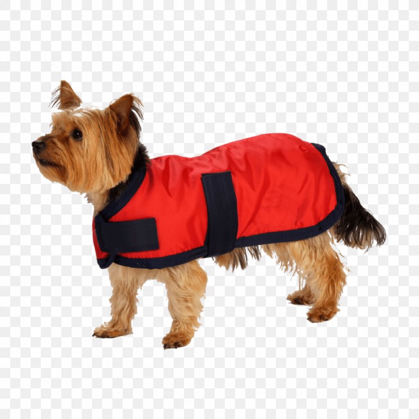 Dog Hoodie Coat Jacket Clothing, PNG, 1024x1024px, Dog, Australian Silky Terrier, Australian Terrier, Carnivoran, Clothing Download Free