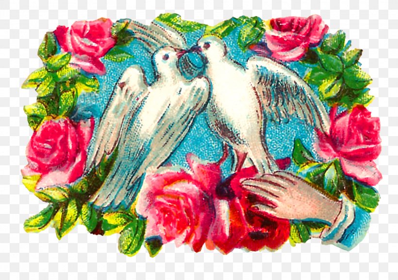 Floral Design Columbidae Bird Clip Art, PNG, 1600x1124px, Floral Design, Antique, Art, Beak, Bird Download Free