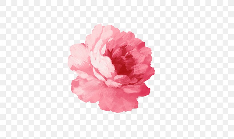 Paper T-shirt Flower Sticker Watercolor Painting, PNG, 1024x610px, Paper, Carnation, Color, Floral Design, Flower Download Free