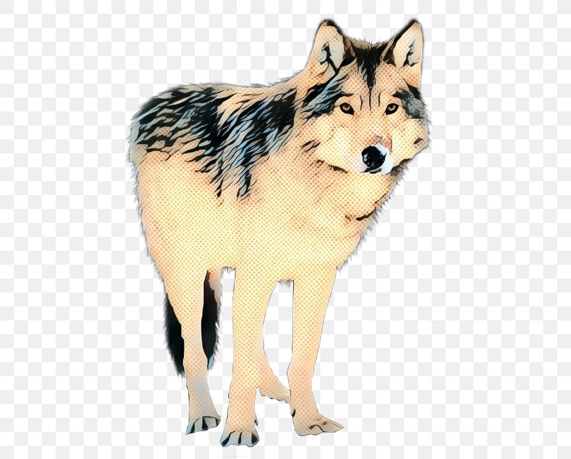 Saarloos Wolfdog Coyote Alaskan Tundra Wolf Jackal, PNG, 616x659px, Saarloos Wolfdog, Alaskan Malamute, Alaskan Tundra Wolf, Animal Figure, Art Download Free