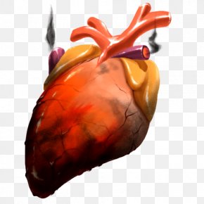 Painting - The Phoenix Heart Drawing Painting PNG