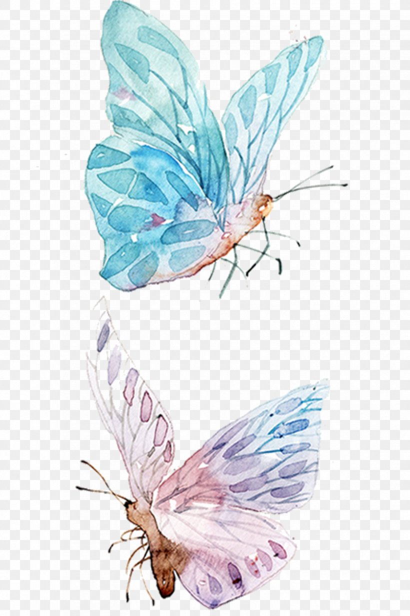 Watercolor Painting Drawing Clip Art, PNG, 837x1258px, Watercolor Painting, Butterfly, Designer, Drawing, Insect Download Free