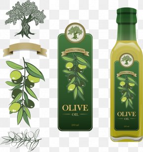 Vector Olive Oil And Olive Fruit - Bottle & Label Design Olive Oil PNG