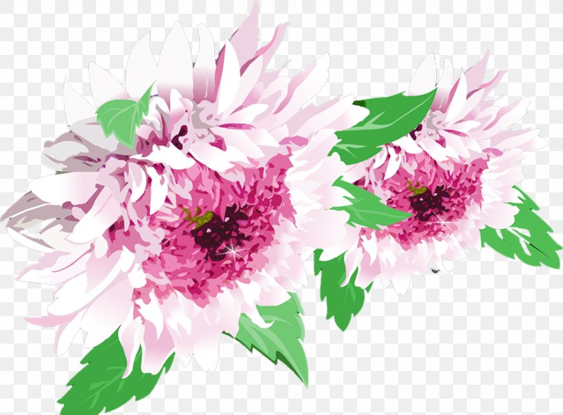 Chrysanthemum Plant Flower, PNG, 896x660px, Chrysanthemum, Chrysanths, Cut Flowers, Dahlia, Daisy Family Download Free