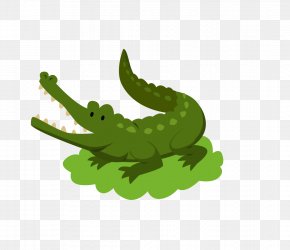 Crocodile - Crocodiles American Alligator Deinosuchus T-shirt PNG