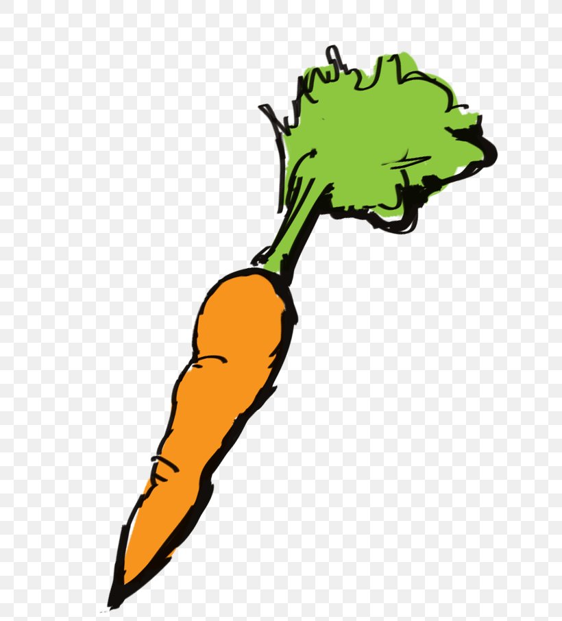 Carrot Cartoon, PNG, 720x906px, Leaf, Apium, Branch, Carrot, Celery Download Free